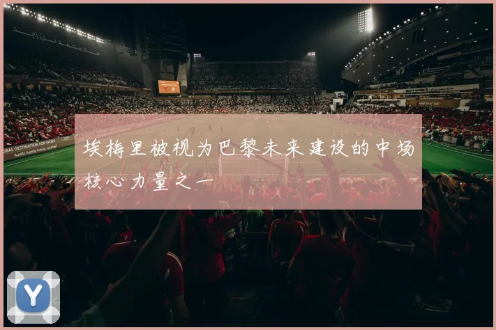埃梅里被视为巴黎未来建设的中场核心力量之一