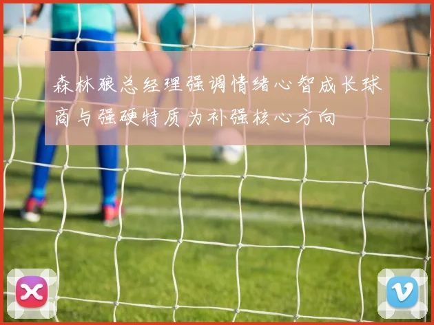 森林狼总经理强调情绪心智成长球商与强硬特质为补强核心方向