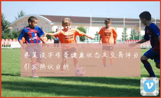 弗莱谈字母哥健康状态及交易评分引发热议分析