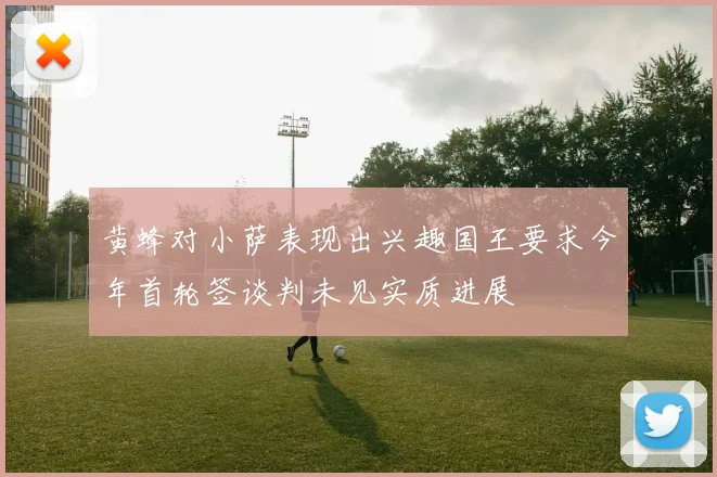 黄蜂对小萨表现出兴趣国王要求今年首轮签谈判未见实质进展